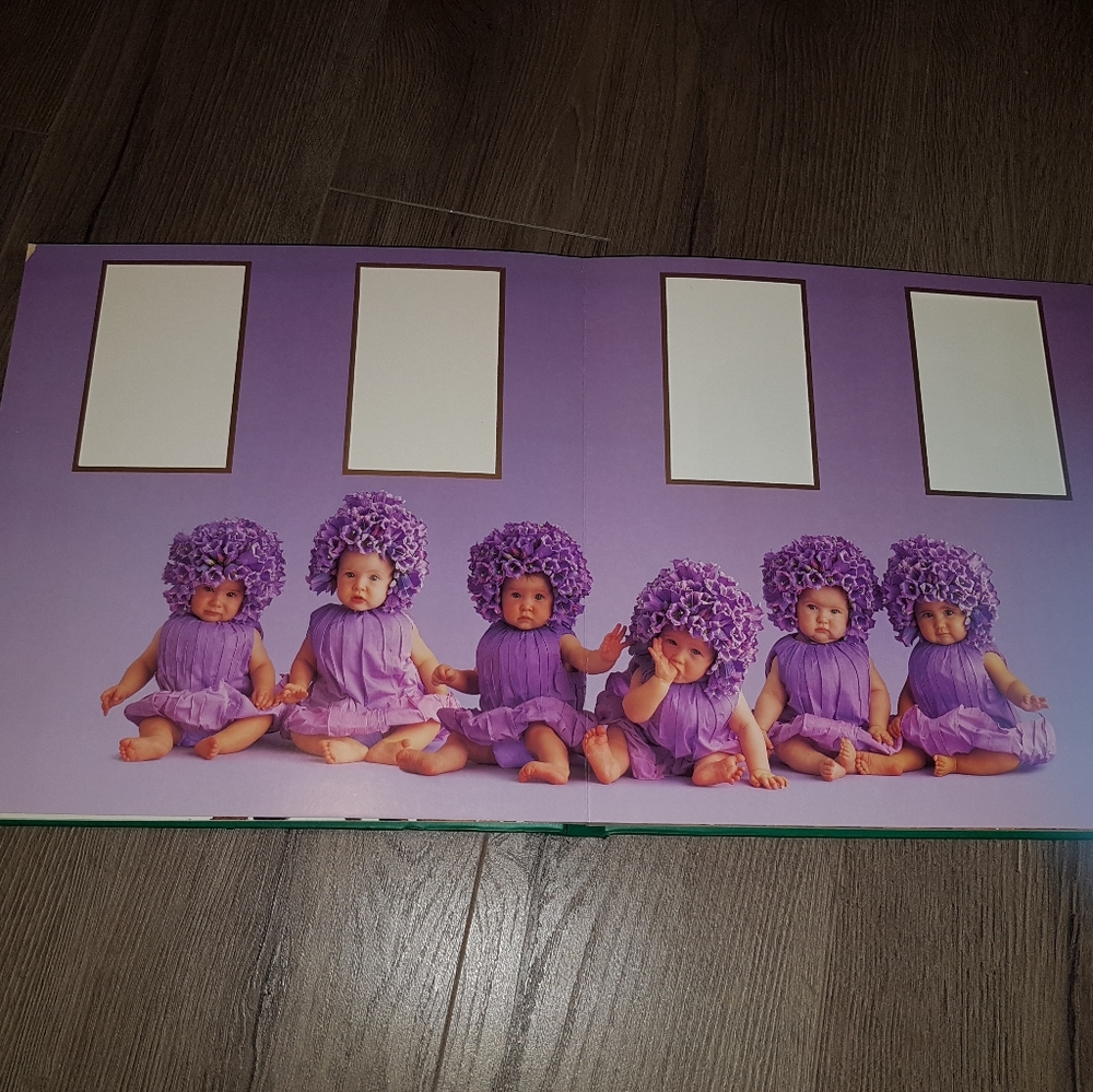 Photo album - Picture 2 of 5
